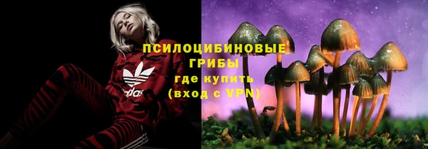 мяу мяу кристалл Арсеньев